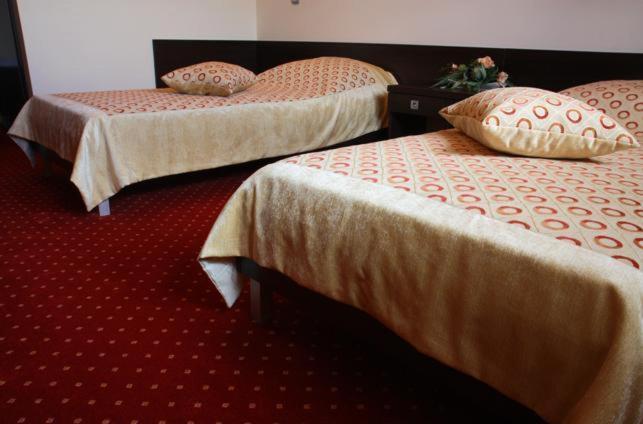 Hotel Wasik Krogulcza Pokoj fotografie