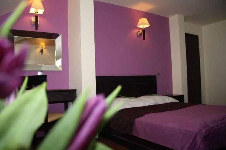 Hotel Wasik Krogulcza Pokoj fotografie
